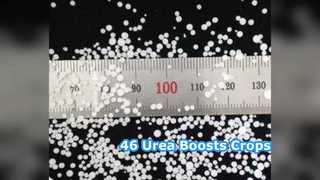 বুস্ট শস্য: কৃষকদের জন্য 46% ইউরিয়া সার